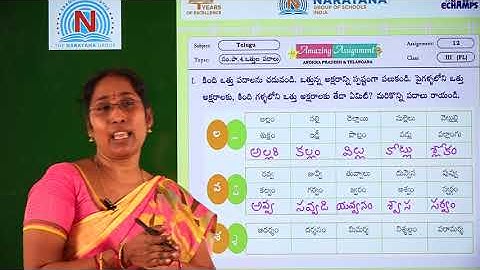 17TH SEP CLASS III FL TELUGU AMAZING ASSIGNMENT KEY