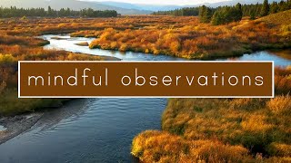 Mindful Observation: 1-Minute Guided Relaxation Session | 4K Serenity, Winding River & Water Sounds