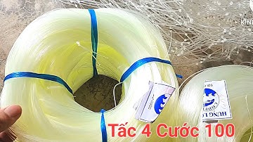 Lưới cá chẽm! Út Mùi ở Cái Nước.c