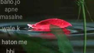 Rose Gif....by. Nsu..