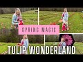 🌷Springtime visit at Tulip Farm I Spring Vibes &amp; Colorful Blooms!