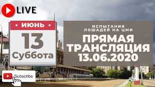 13.06.2020. Прямая трансляция с ЦМИ. Субботние бега.