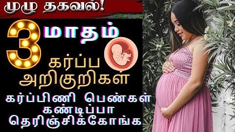 3rd month pregnancy symptoms in Tamil |கர்ப்பம் மாதம் - 3🤱 Pregnancy symptoms  Scan & Test  Details