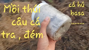 Mồi thúi câu cá dồ đém , cá tra , cá hú ,,,