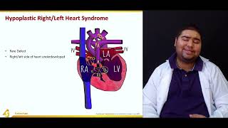 Cardiac Embryology Video