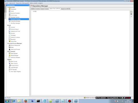 Informatica MDM Repository Manager | MDM online tutorial | MDM beginners tutorial