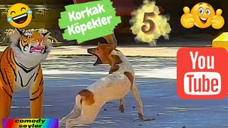 KORKAK KÖPEKLER -5 Komik Videolar - Funny and Fun Dog Jokes Resimi