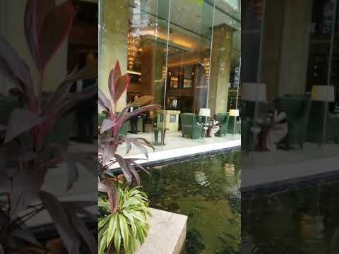 #Shorts the super big gold fish pond, Shangrila hotel, KL