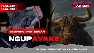  DJ BANTENGAN (NGUPAYAKE) VIRAL TIKTOK VELOCITY FROM DJ KALENG RIMEX 