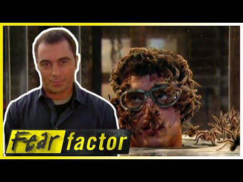 Season 2 HIGHLIGHTS! 😱| Fear Factor US | Full Episodes | Thrill Zone