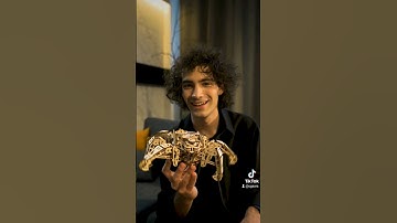 Hexapod Explorer by #Ugears. WINTER SALE -15% OFF until January 01. #3dpuzzle #diy #giftideas