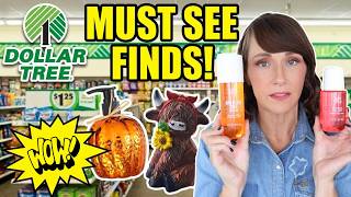 NEW Dollar Tree Haul Disclaimer Sad Life Update Included