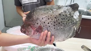 台灣大釣哥KK 釣到2斤金錢魚變身苦五大有毒魚之一小菜 ... 