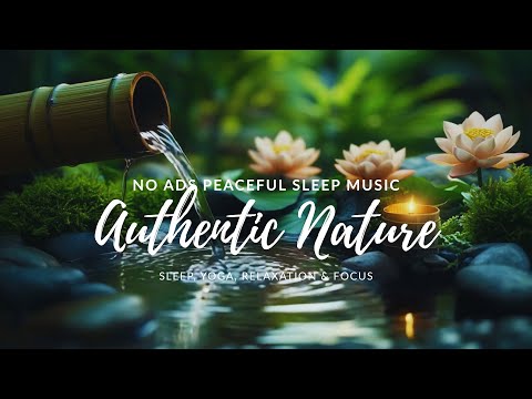 Soothing Relaxation Music and Water Sound 🌿 Sleeping Music for Deep Sleeping, 100% Authentic Nature