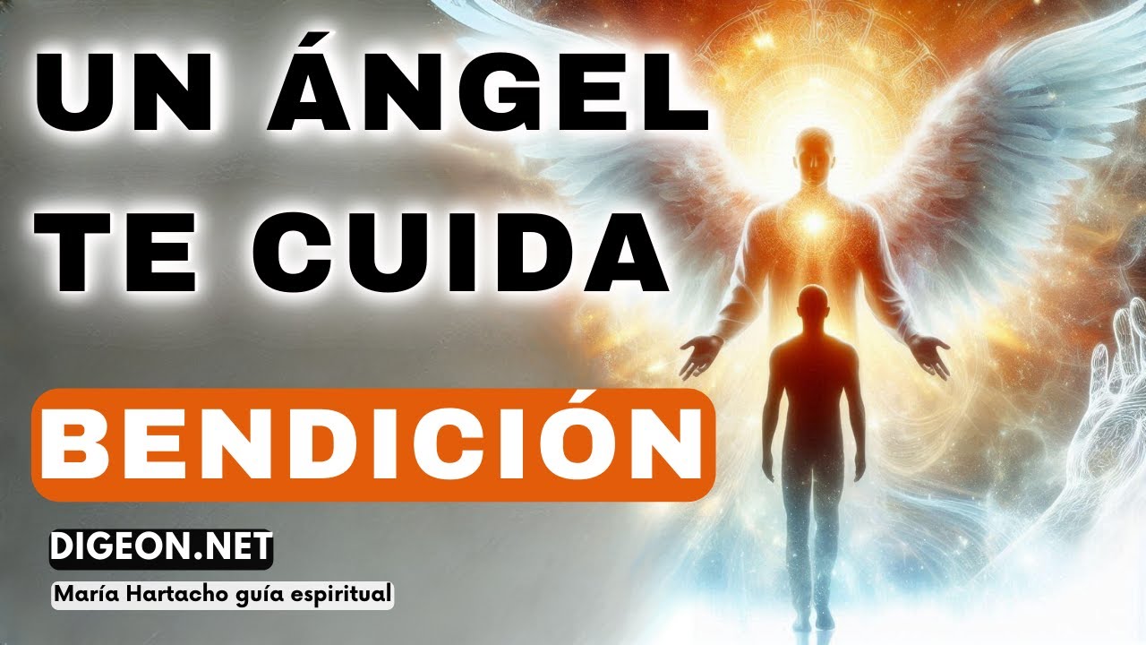 NO TE PREOCUPES💌MENSAJE DE LOS ÁNGELES PARA TI -DIGEON- Arcángel Uriel ...