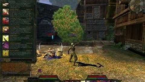 Age of Conan Gameplay 2