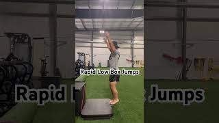 Rapid Low Box Jumps