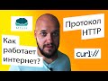 Как работает интернет? Протокол HTTP