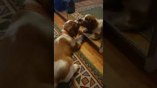 MOV 0063