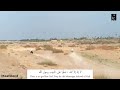 الله ربي محمد شريك نغم نايلي الجزائر         
