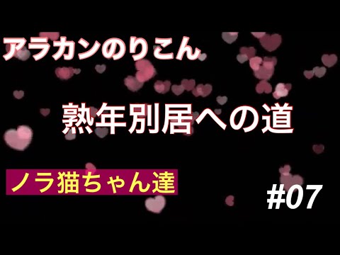 別居 熟年 熟年別居は寂しい？まずは夫から逃亡してみる