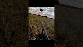 🚨 Кабан в упор! Самый опасный момент охоты | Close Range Boar Hunt 🐗🔥 #wildboar #hunting #javali