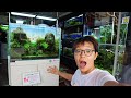 Beautiful AQUASCAPE FISH STORE in Japan! Aqua Revue