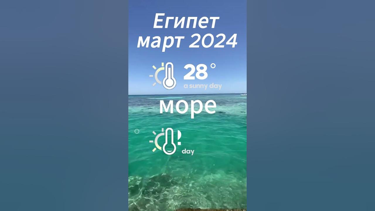 Египет 2024 море