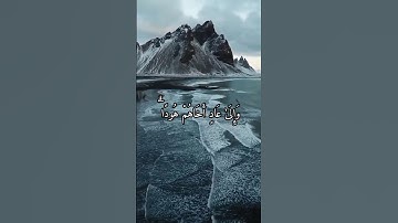 اذكروني بدعوة ولكم بالمثل ان شاء الله 🍃🤍 القارئ حمزة الفار سورة هود #القرآن_الكريم #قرآن