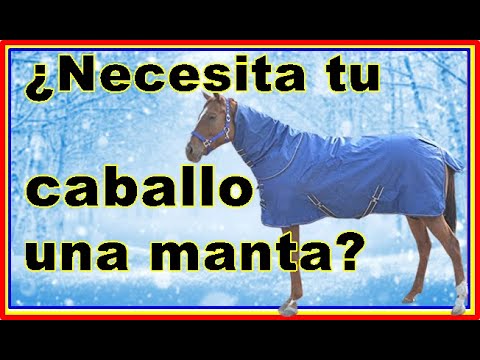 🐴✅¿Hay que poner MANTA a los caballos?❄🌡☔ ¿NECESITA el caballo una manta para NO PASAR FRIO?