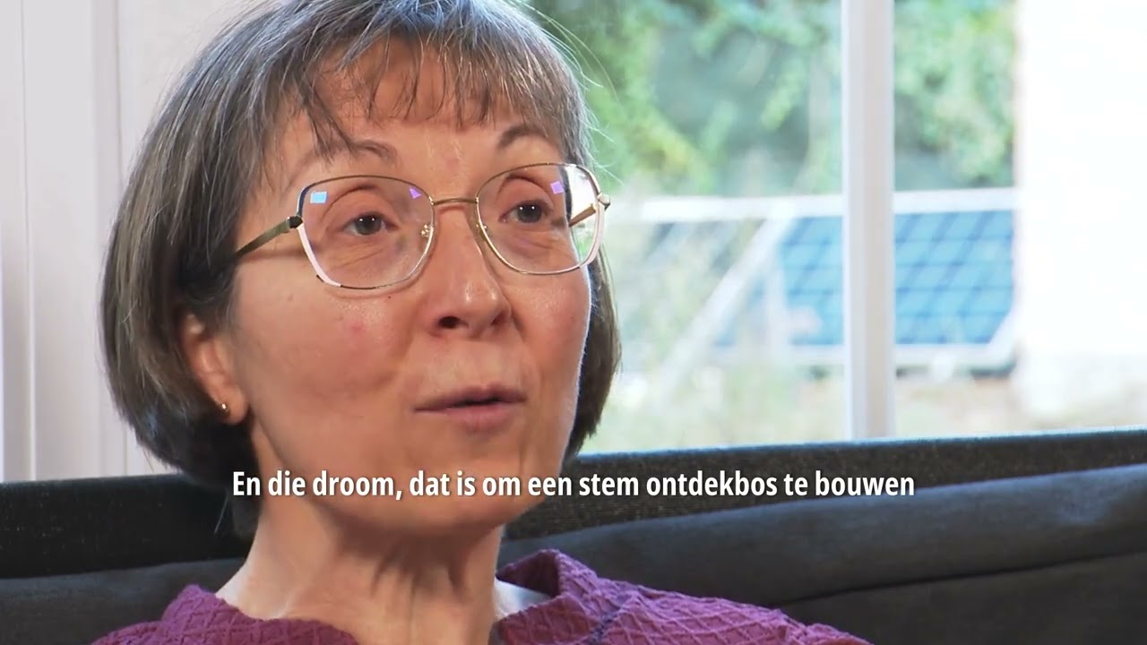 Steam Discovery Forest - тизер