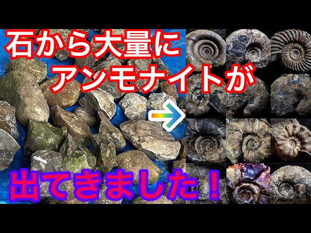 I just crack the stone and take out the ammonite! I also use