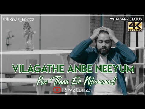 vilagathe-anbe-neeyum-||-whatsapp-status-video-||-album-song-||-lyrics-||-riyazeditzz-(4k)