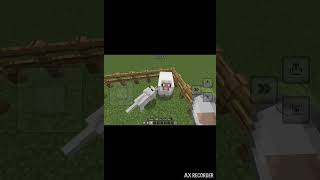 Müslüman kurt #likeat #ytdayibenionecikarnolur #minecraft #aboneol #yorum #keşfet #viral #paylaş