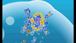 Bubble Tanks 2 BFT Carrier