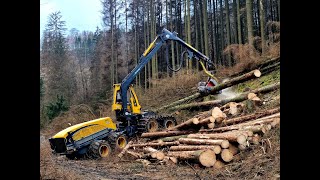 🌲 WFW Ecolog 688E *with big trees* • Harvester in Action • Forsttechnik Achenbach 🌲