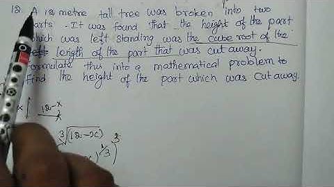 ##12th maths exercise 3.1 sum no 12 if 12 metre tall tree was broken into 2 parts it was found tha