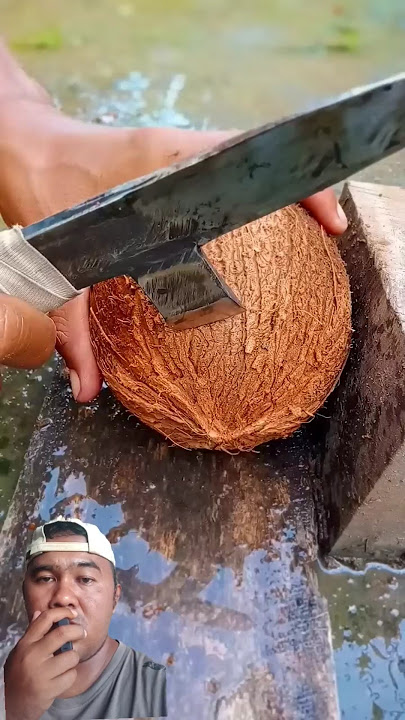 Download lagu Kupas kelapa Tua