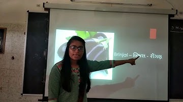 English | std-3 | Lecture-3 | Pathak School-Amreli