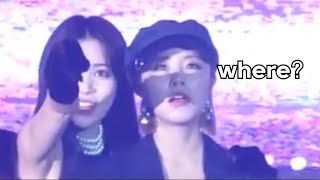 How Mamamoo reacted when they finally saw moomoos