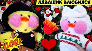 Лалафанфан 💓 Подарок для УТОЧКИ 🦆 на ДЕНЬ СВЯТОГО ВАЛЕНТИНА (vlog) Лавашик ВЛЮБИЛСЯ?