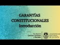 GARANTÍAS CONSTITUCIONALES EN EL PROCESO PENAL