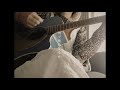 【オリジナル】エリカ(Acoustic ver.)／あを。