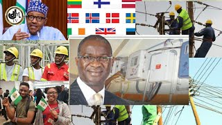 FG Blasted for not Ensuring Comfort of Diaspora Visiting Nigeria