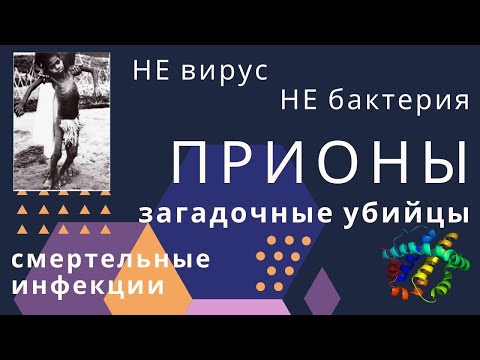 ПРИОНЫ: ВОЗБУДИТЕЛИ СМЕРТЕЛЬНЫХ ИНФЕКЦИЙ