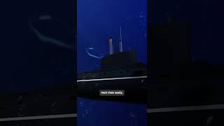 Iran’s SUBMARINE Sunk by ATACMS