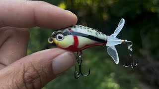 BFS Fishing a small Indiana Creek
