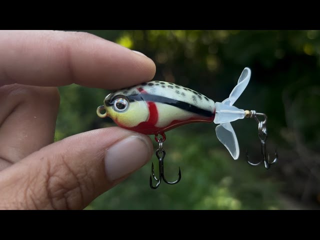 fern creek fishing lures ERC Triple D 9" Suspending Crankbait Big Flash Shad profile bait sashays back and forth. Alcoe Lure Company Magic Minnow