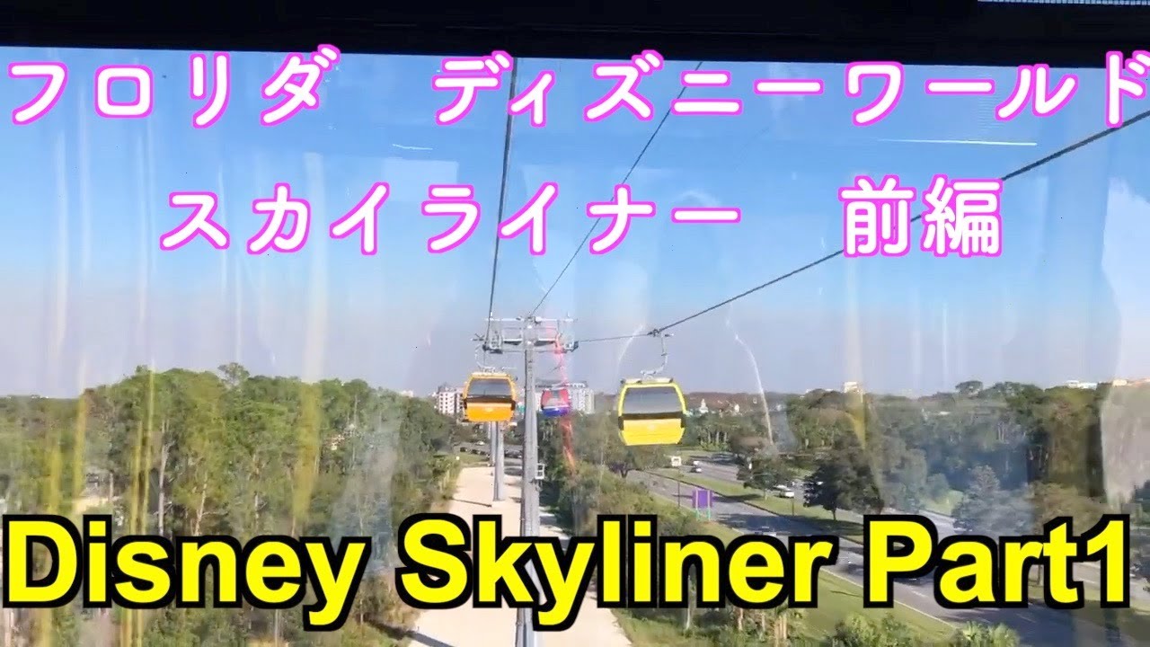 フロリダ ウォルトディズニーワールドの紹介 国際結婚 Sunshine State Life
