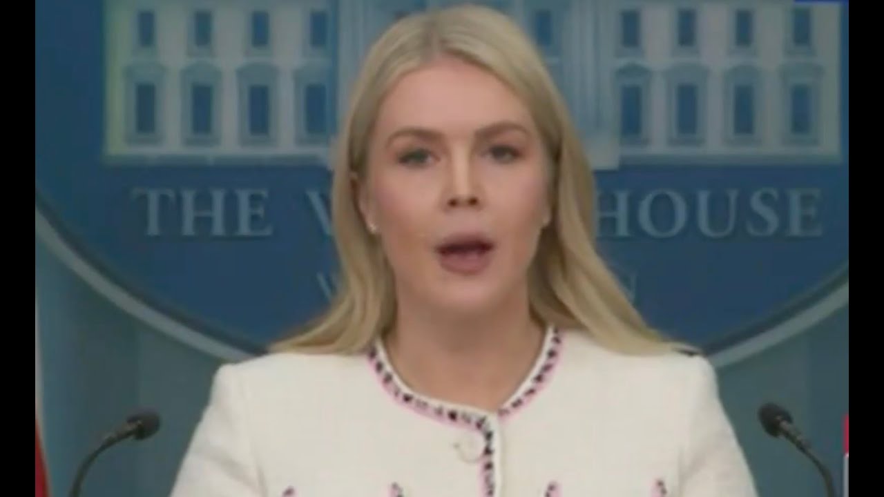 DISASTER: Karoline Leavitt SINKS Trump with INSANE confession 